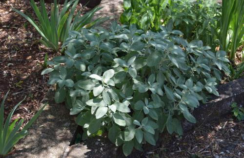 Holiday Home J-Adria - Foto 28