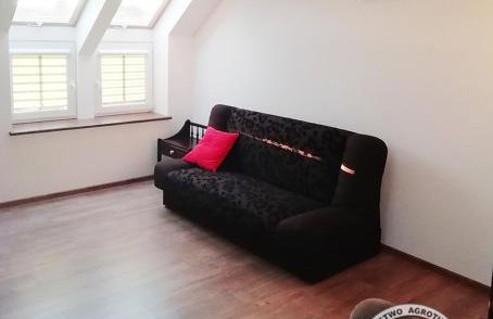 BAJA Gospodarstwo Agroturystyczne - Foto 39