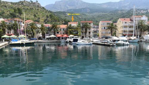 Galah Studio - Foto 3