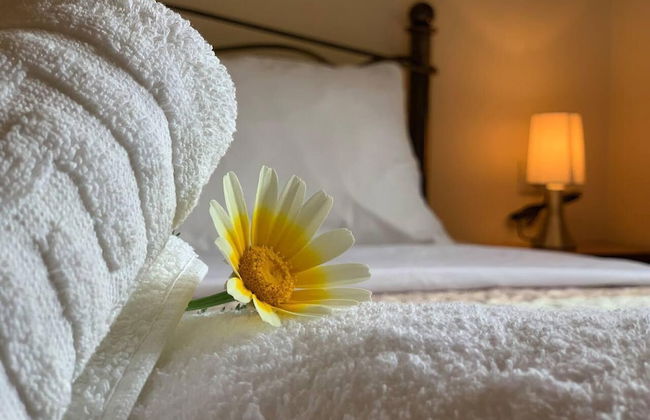 Stunning 3-bedroom Villa Near Malia Beach - Foto 1