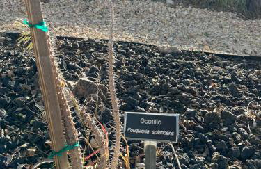 Copper Creek Farm - Foto 31