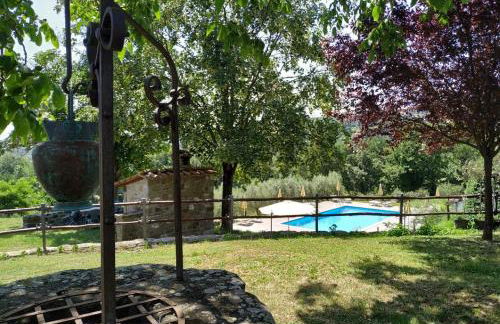 Selvadonica - Foto 20