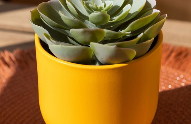 Casa Checha in Candelaria - Foto 26