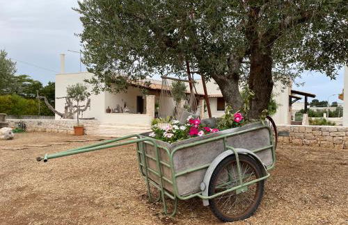 Grano Arso Appartamento Turistico - Foto 26