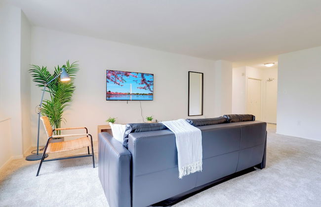 Comfortable Apt in Crystal City - Photo 14