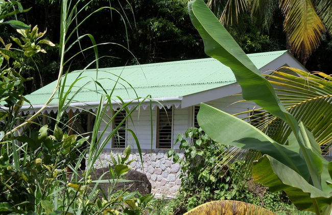 Citrus Creek Plantation - Photo 14