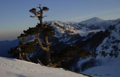 Tana Libera Tutti 3 Nature, Yourself, Love - Foto 34