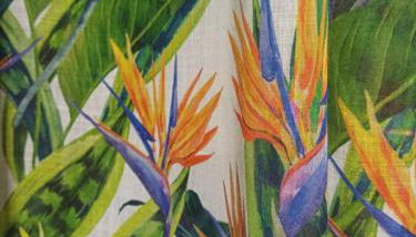 Casa Esterlita - Foto 2