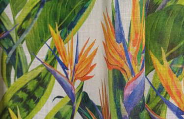 Casa Esterlita - Photo 7