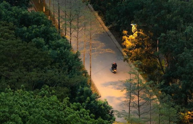 Armin Homes Studio Haven Park Ecopark - Photo 23