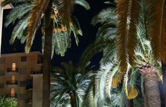 Le case di Sara - Green Palm - Foto 4