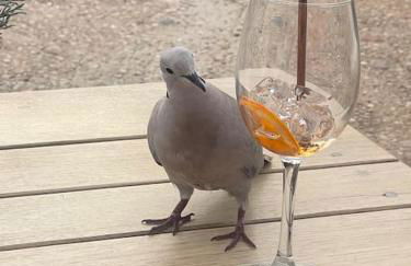 Ferienhaus am Teutoburger Wald - Foto 17