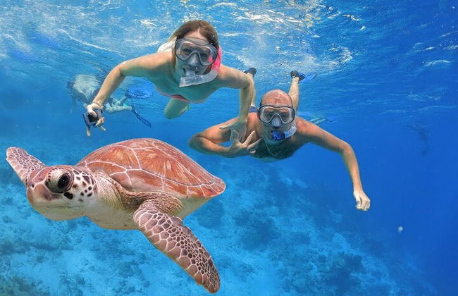 Transfert en navette de l'aéroport d'Alanya Resorts à Gazipasa - Photo 9