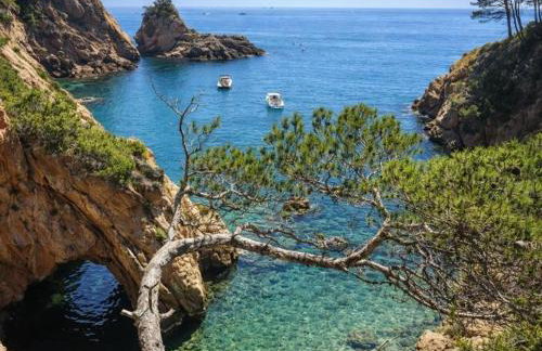 Esperança 32 - Foto 16