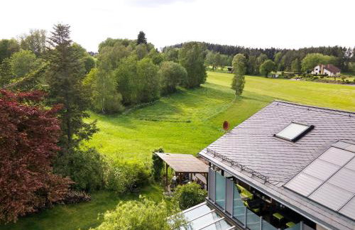 Wiesenblume - Foto 21