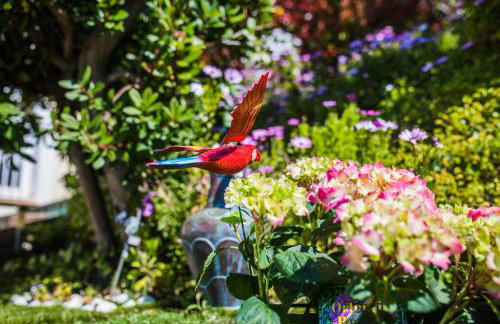 LA CASETTA DEI FIORI VI3078 - Foto 5