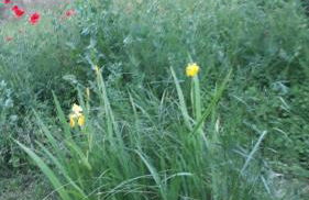 Condrieu et parking voiture vélo 2 ème étage - Foto 7