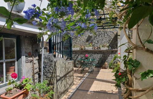 Quintal d'Angra - Photo 26