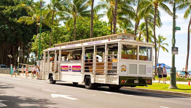 Filobus turistico di Waikiki - Foto 2