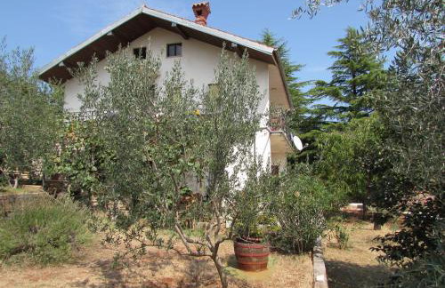 Apartment Ana - Photo 19