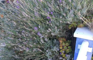 Finca Las Eras - Foto 53