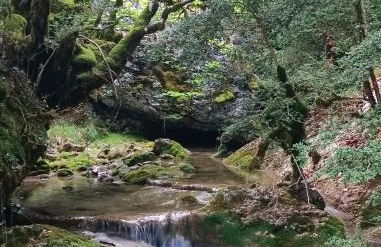 Suite Curry - Photo 14