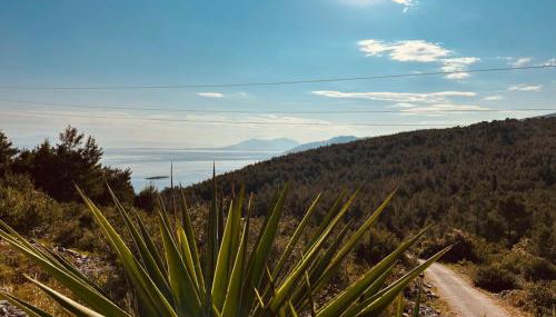 Milton holiday house - Foto 2