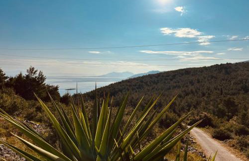 Milton holiday house - Foto 2