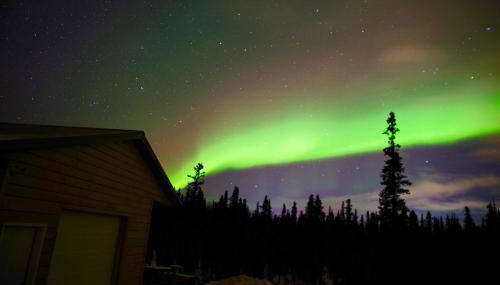 Denali Wild Stay - Bear Cabin with Hot Tub and Free Wifi, Private, sleep 6 - Foto 5