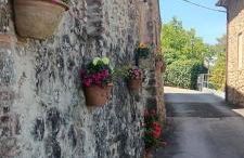 Villa la Grotta Montecastelli Pisano - Foto 1