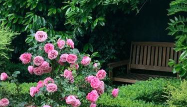 Crafter's Retreat luxury cabin on the Norfolk Cambridgeshire border - Foto 4, Garden view