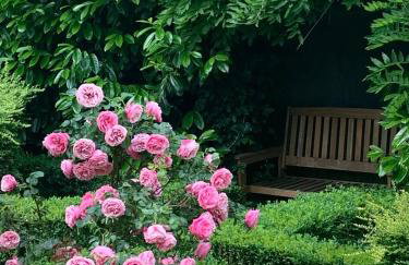 Crafter's Retreat luxury cabin on the Norfolk Cambridgeshire border - Foto 4