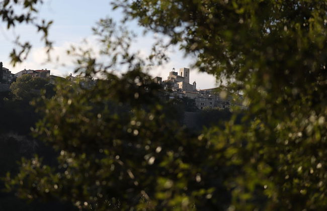 Orion Tree houses - Foto 28