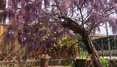 Il Lanificio airb&b - Foto 2