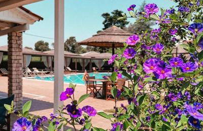 Hotel Kalamitsi Apartments - Photo 4