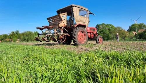 Heidehof Kuppendorf - Foto 3