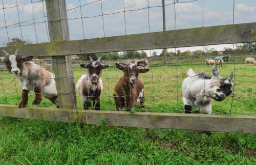 Duke Cottage - Foto 30