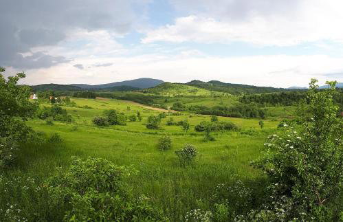 Holiday Home Dubravka - Foto 48