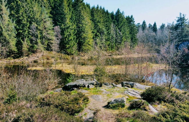 Seaside Idyll in Svaneke - By Traum Ferienwohnungen - Foto 19