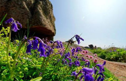 LR1 - Vue mer & Plage à pied - Ressourçant & paisible - Foto 30