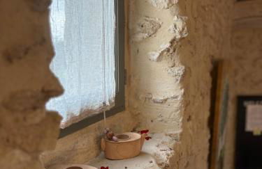 Domaine de la barbeirasse - Foto 68