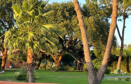 Casa do Sobro - Foto 11