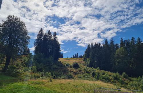 Ferienwohnung BUTTERBLUME, Feldberg - Haus Wiesenquelle - Foto 28