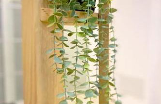 ancient open space nel centro storico Padovano - Photo 42