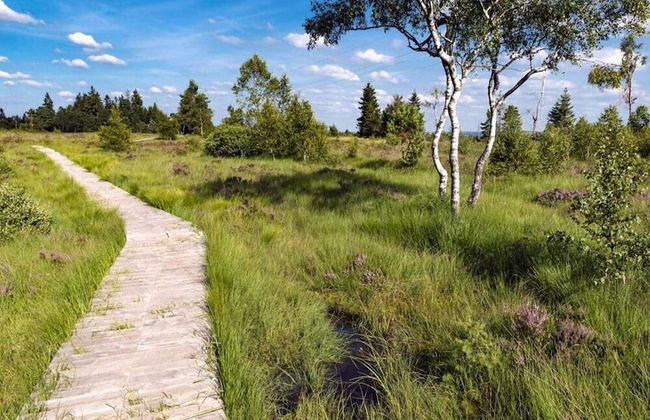 Luxury Spa Castle With Swimming Pool - Foto 29