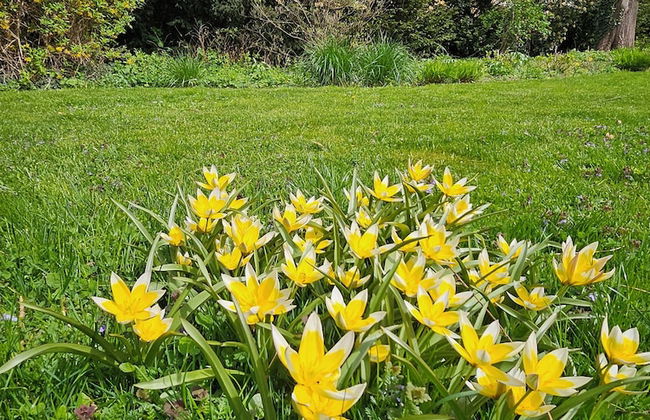 GrazRentals - Foto 60