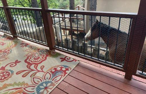 Casita Escondida - Photo 31