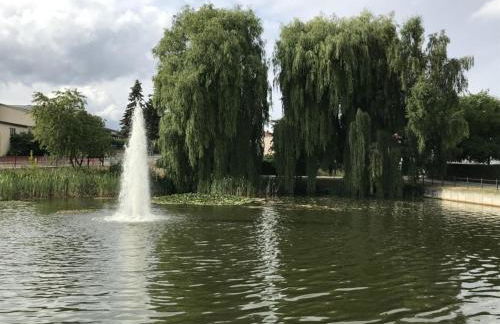 Holzhaus Junge in the Harz - Foto 25