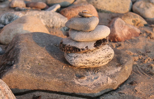 Bungalow mit Gartenterrasse, Borgerende - Foto 16