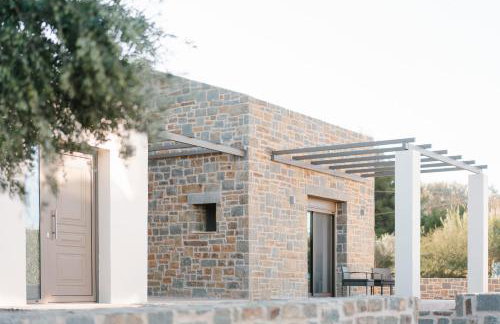 PETRINO FOINIKOUNTA - Foto 10